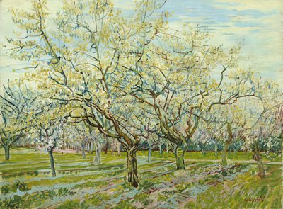 The White Orchard by Vincent van Gogh